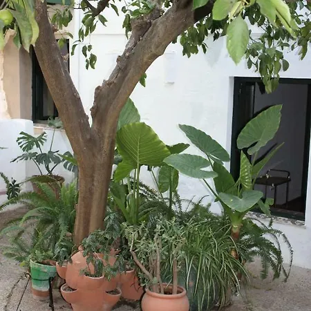 Jimenas Higuera De La Sierra (Huelva)